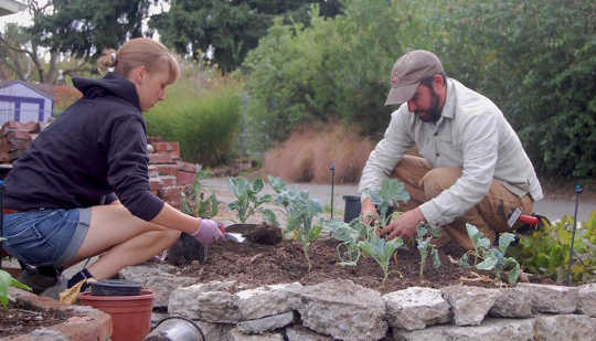 Alleycat Acres Puts New Twist on Community Gardens