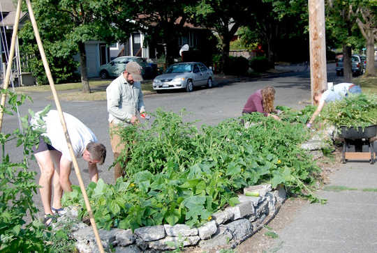 Alleycat Acres relies on the community to help run the farms.